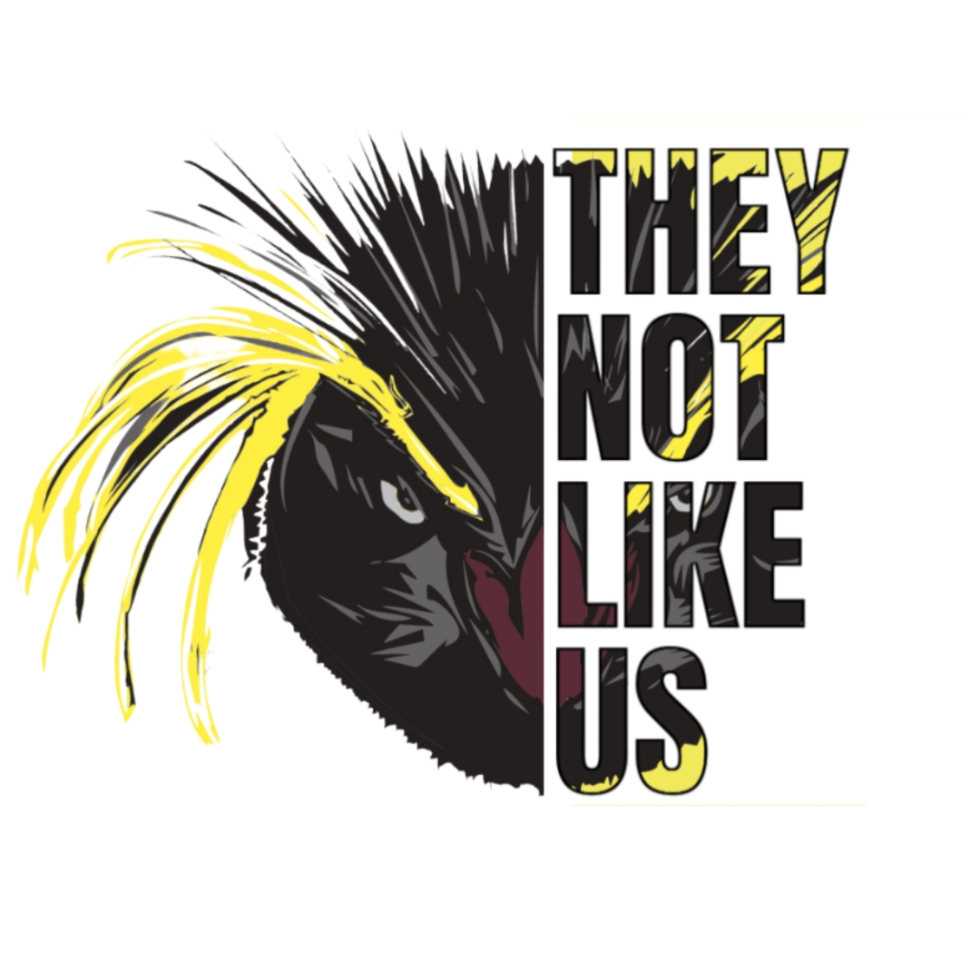 Rockhopper Football They Not Like Us Spring 2026 Promotional Flyer